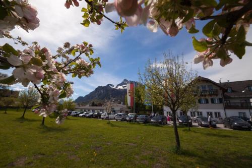 Hotel Gasthof Mostwastl - image 2