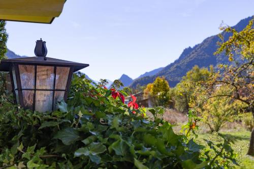 DEVA Hotel-Restaurant Fischerwirt - image 2