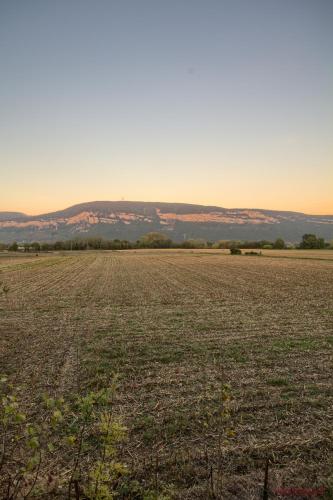 MONTALIEU SEJOUR 2 Maisons, Les tulipes ou Les Bambous