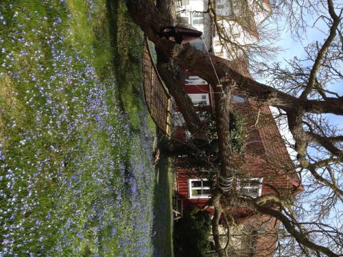 Mullbärsgårdens Bed and Breakfast - image 11