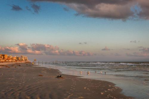 Daytona Beach Shores Condos in Daytona Beach Shores, USA
