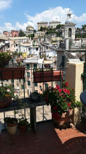 IL GECO, Genua (zdjęcie 7)