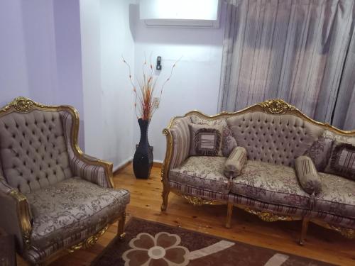 Private Family Apartment in Dokki