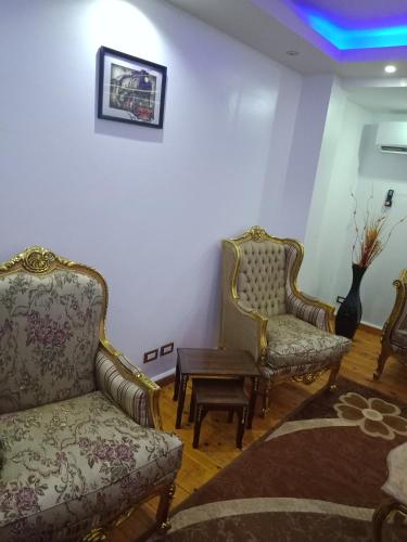 Private Family Apartment in Dokki