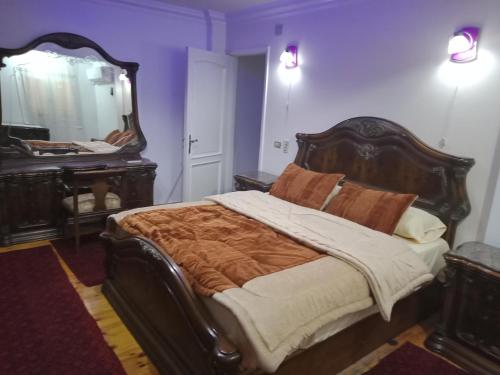 Private Family Apartment in Dokki