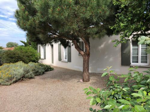 LES MIANNES gîte à louer Les Boucholeurs