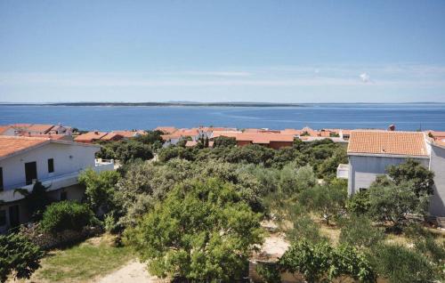 Apartments with a parking space Mandre, Pag - 12409