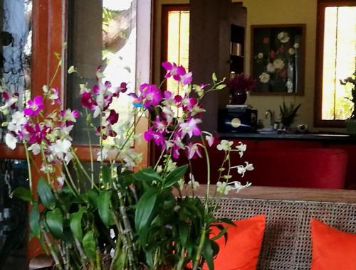 Villa Albizia – Chiang Mai, IA