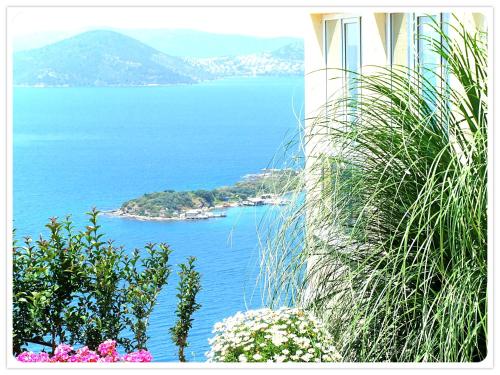 Adastra Holiday Homes Bodrum Royal Heights In Bogazici Turkey Reviews Prices Planet Of Hotels