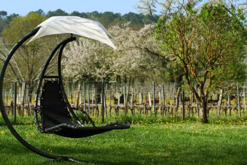 Garden, Bleu Raisin in Les Salles-de-Castillon