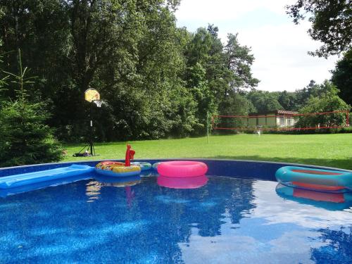 Apartamenty Gajówka- sauna jacuzzi rowery - image 3