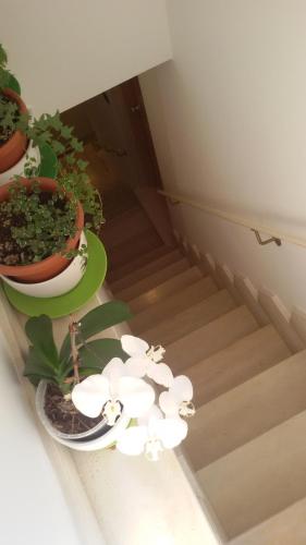 B&B Don Gino – Monopoli, LA