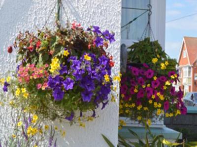 White Heather Guest House - image 2