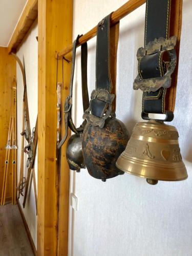 Hotel Les Montagnards - image 6