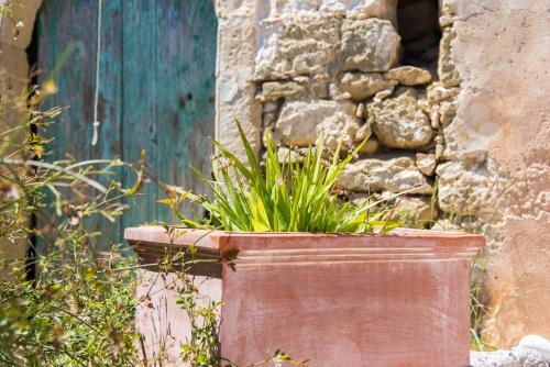 Dion: Artist's Stone House With Countryside Views