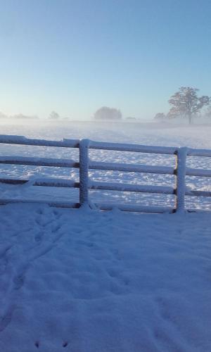 The Haybarn