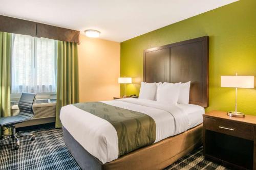 Quality Inn & Suites - image 5