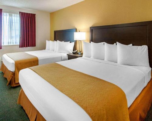 2 queen beds