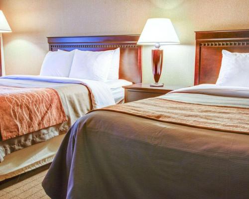 Quality Inn Florence - image 4