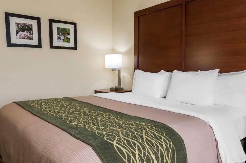 Comfort Inn - Pocono Mountain