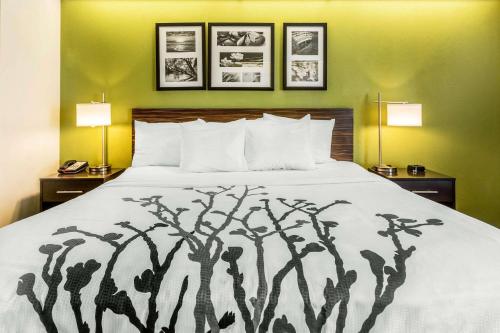 Sleep Inn Charleston - West Ashley in Charleston, USA
