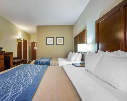 Comfort Inn & Suites Hotel in the Black Hills