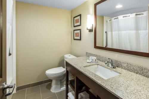 Comfort Inn & Suites Knoxville West - image 6