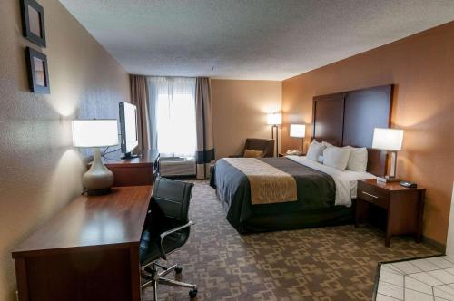 Comfort Inn Conroe - image 3