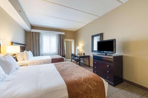 Comfort Suites South Padre Island - image 4
