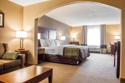 Comfort Inn Edinburg South Room Type - Suite, 1 King Bed, Non Smoking