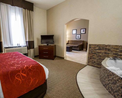 Comfort Suites Stafford Near Sugarland - image 2