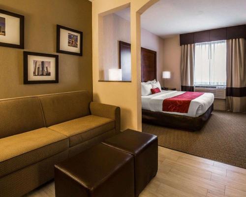 Comfort Suites Stafford Near Sugarland - image 7