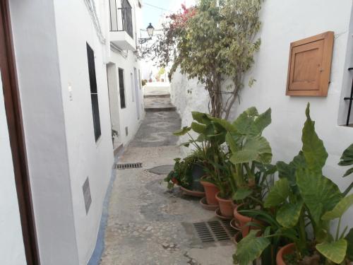  Casa Alta in 29770 Torrox