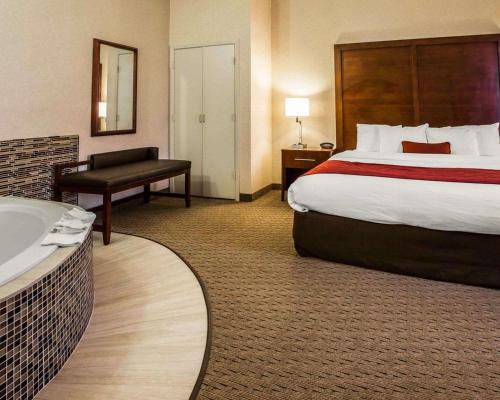 コンフォート スイーツ スタッフォード ニア シュガーランド