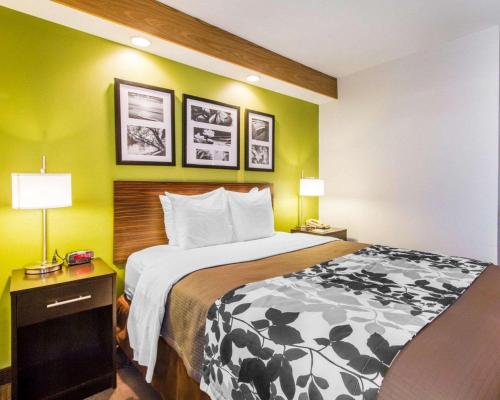 Sleep Inn Airport - image 4