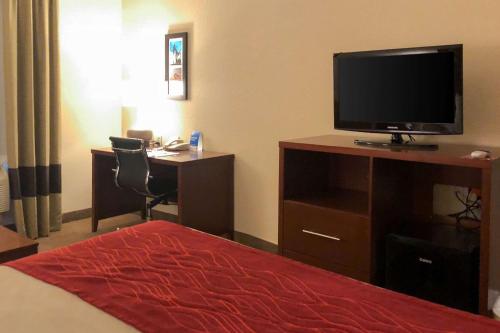 Comfort Inn Early Brownwood - image 2
