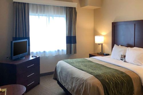 Comfort Inn Early Brownwood - image 4