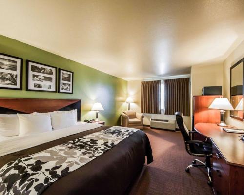 Sleep Inn & Suites Shamrock