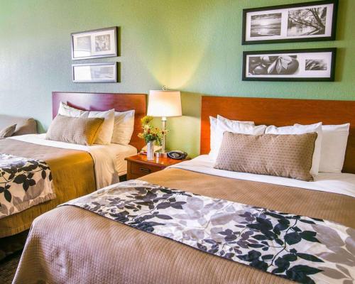 Sleep Inn & Suites Gonzales near Palmetto State Park in Gonzales, USA