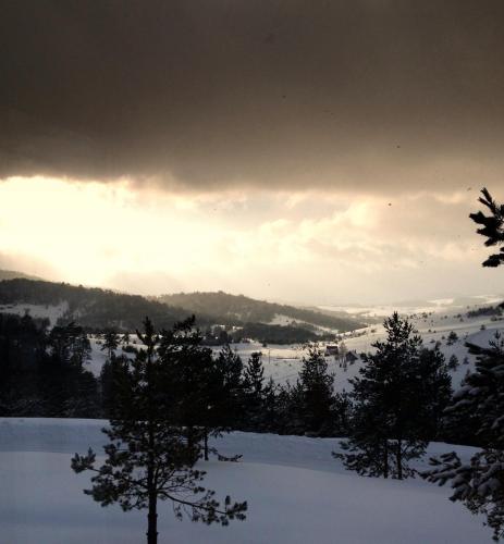 Previja Zlatibor Chalet - main image
