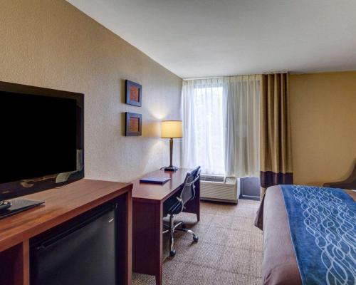 Comfort Inn & Suites Plano East - image 7