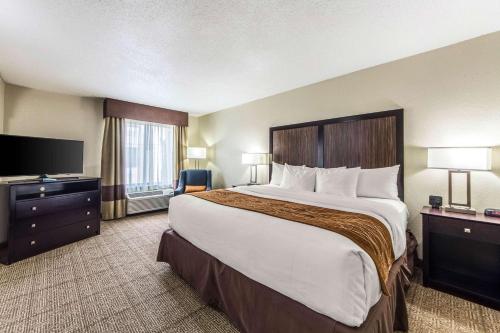 Comfort Inn Dallas Park Central - image 4