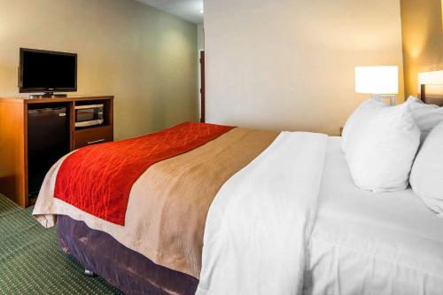 クオリティ イン