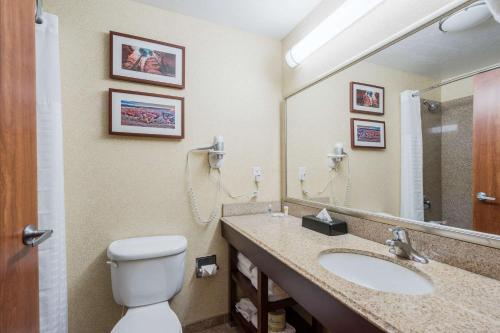 Comfort Inn And Suites Cedar City In Ut