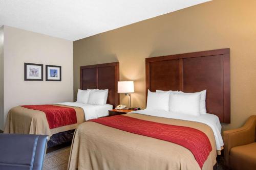 Comfort Inn Chester - Richmond South - image 4