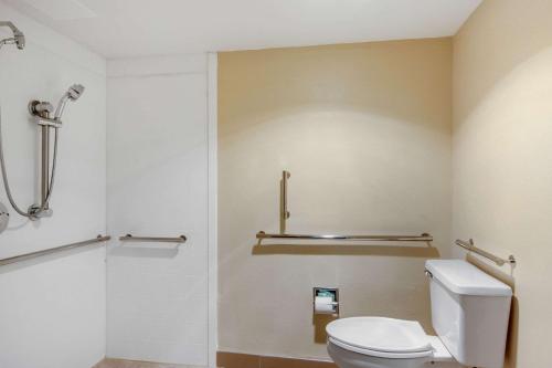 コンフォート イン チェスター リッチモンド サウス