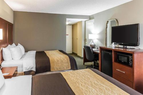 コンフォート イン ペンタゴン シティ