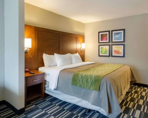 Quality Inn and Suites Ashland near Kings Dominion