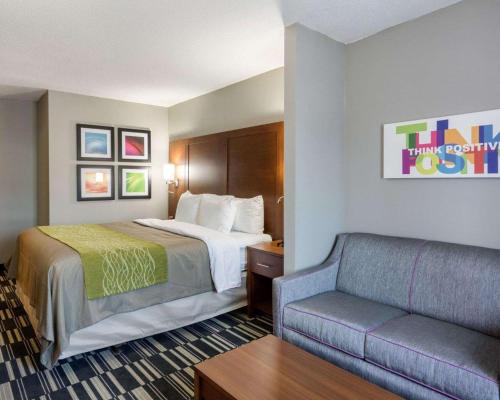 Quality Inn & Suites Ashland near Kings Dominion