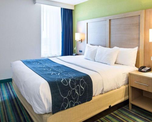 Comfort Suites Beachfront Room Type - King Suite - Non-Smoking